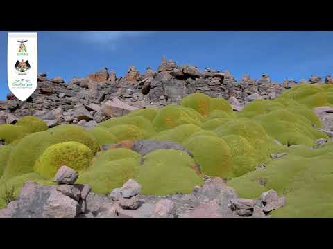 Conozca el impresionante Mirador de Volcanes de Patapampa | AUTOCOLCA