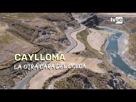 Reportaje al Perú: Caylloma, la otra cara de Colca (12/11/2023) | TVPerú