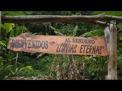 Sendero Turístico Lluvias Eternas. Pozuzo - Yulitunqui