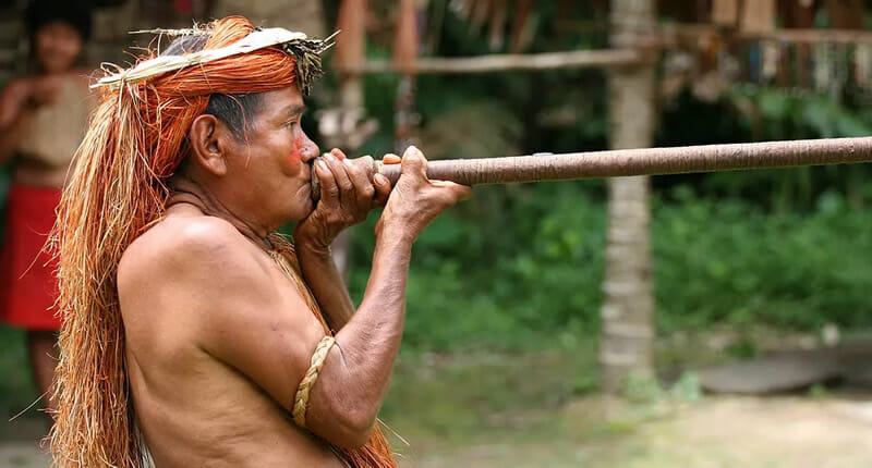 Yahua Blowgun Amazon Iquitos Peru Yahua Blowgun Amazon Iquitos Peru