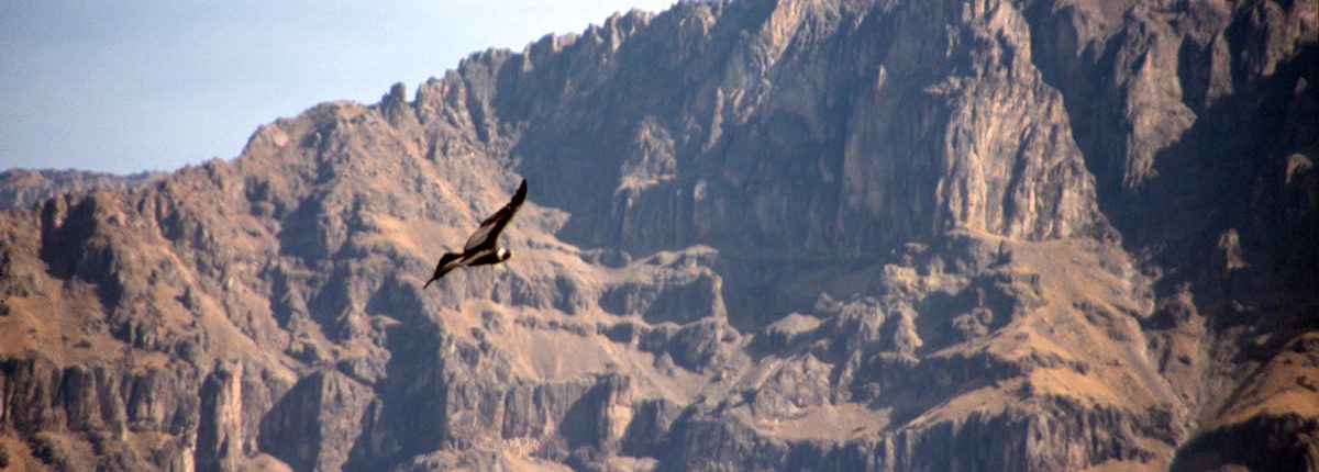 Colca Canyon in Peru Der Cañón del Colca – der Colca Canyon