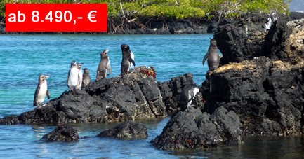 Abwechslungsreiche Südamerika-Reise: Von Galápagos nach Machu Picchu Abwechslungsreiche Südamerika-Reise: Von Galápagos nach Machu Picchu
