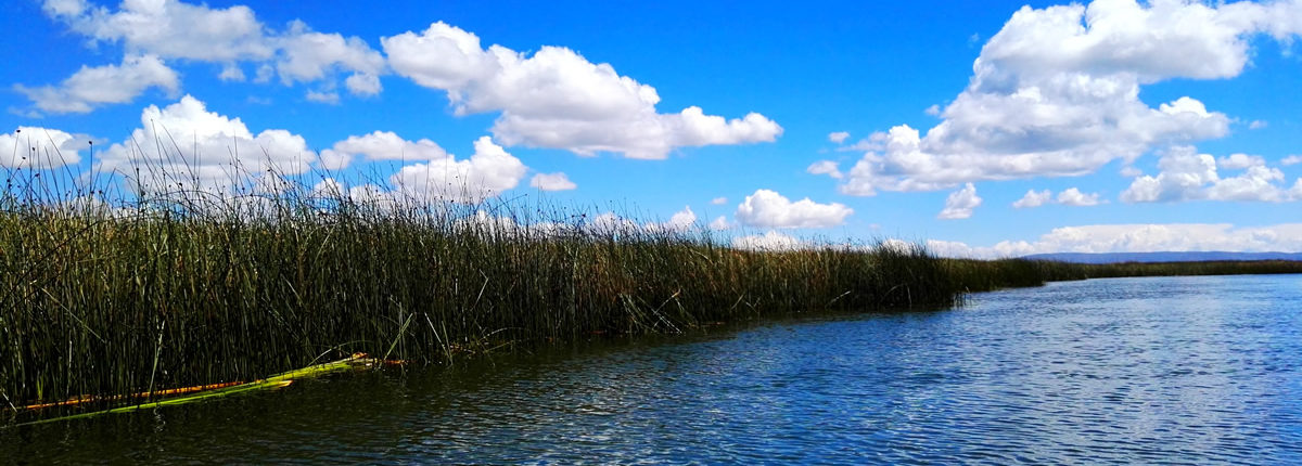 puno titicacasee peru puno titicacasee peru
