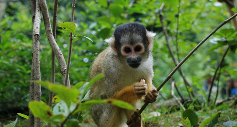 Parque de las Leyendas in Lima