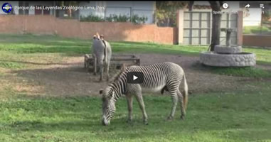 Videos Parque de las Leyendas