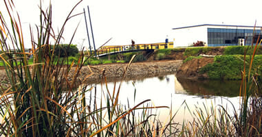 Campus Pantanos de Villa Chorrillios