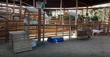 Tiere in La Granja Villa 