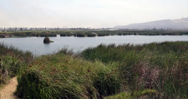 Das Wildschutzgebiet Pantanos de Villa