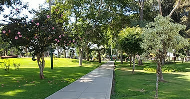 Parque Alvarino Parque Alvarino