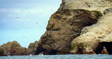 Blick auf Isla Ballestas Blick auf Isla Ballestas