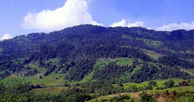 El Parque Nacional de Cutervo o el bosque nuboso de los Andes