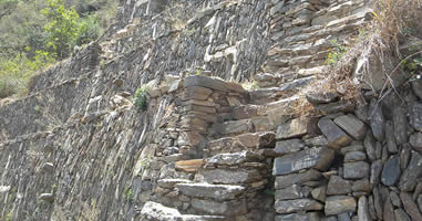 Llamas de Choquequirao