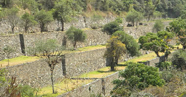 Terrazas Choquequirao