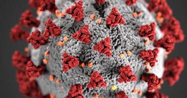 Coronavirus in Peru – 3700 deutsche Urlauber betroffen Coronavirus in Peru – 3700 deutsche Urlauber betroffen