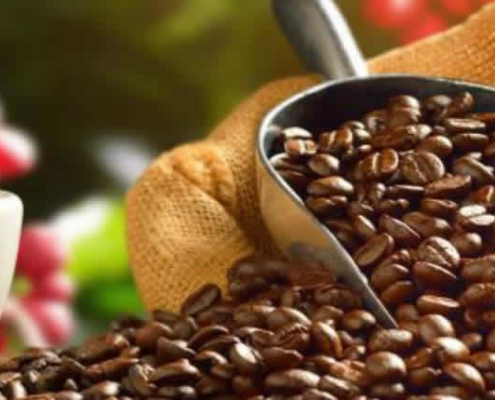 Peruanischer Kaffee aus Puno & Co: Entdecken Sie die Vielfalt des Kaffees im Land der Inkas Peruanischer Kaffee aus Puno & Co: Entdecken Sie die Vielfalt des Kaffees im Land der Inkas