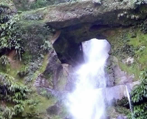 Parque Nacional del Río Abiseo: Ein verborgenes Natur- und Kulturparadies Parque Nacional del Río Abiseo: Ein verborgenes Natur- und Kulturparadies