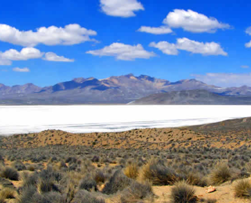 Laguna de Salinas: un maravilla natural cerca de Arequipa Laguna de Salinas: un maravilla natural cerca de Arequipa