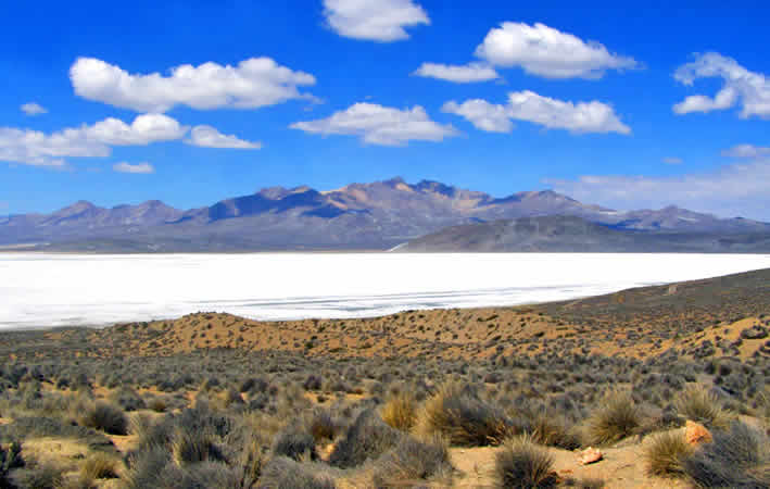 Laguna de Salinas: un maravilla natural cerca de Arequipa