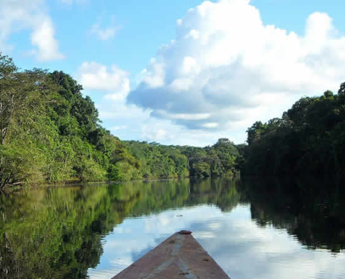 Pacaya Samiria Nationalreservat: Das größte Naturparadies im peruanischen Amazonas Pacaya Samiria Nationalreservat: Das größte Naturparadies im peruanischen Amazonas