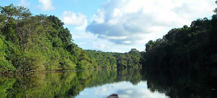 La Reserva Nacional Pacaya Samiria: un paraíso en la Amazonia peruana