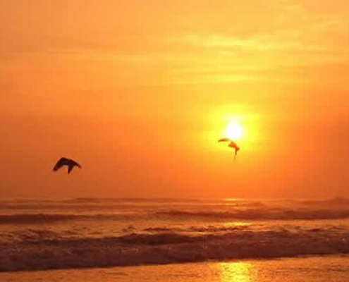 Camaná: playas de ensueño y belleza natural en Arequipa, Perú Camaná: playas de ensueño y belleza natural en Arequipa, Perú