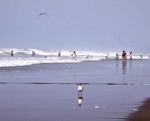 Punta de Bombón: playas de ensueño, historia fascinante y ecoturismo Punta de Bombón: playas de ensueño, historia fascinante y ecoturismo