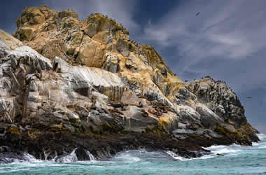 Palomino Insel Touren