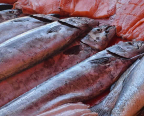 Fisch in Peru: Vom Pazifik bis zu den Flüssen der Anden Fisch in Peru: Vom Pazifik bis zu den Flüssen der Anden