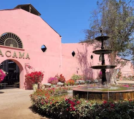 ICA: Pisco‑ & Weinroute durch 3 Weingüter mit Verkostung ICA: Pisco‑ & Weinroute durch 3 Weingüter mit Verkostung