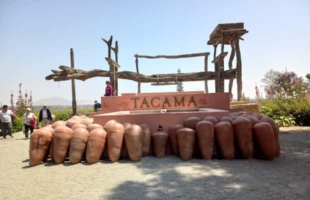 Von Ica oder Huacachina: Tacama‑Weinberg & handwerkliche Weinkellerei
