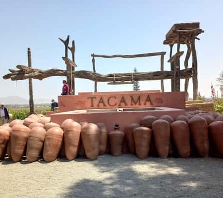 Von Ica oder Huacachina: Tacama‑Weinberg & handwerkliche Weinkellerei Von Ica oder Huacachina: Tacama‑Weinberg & handwerkliche Weinkellerei