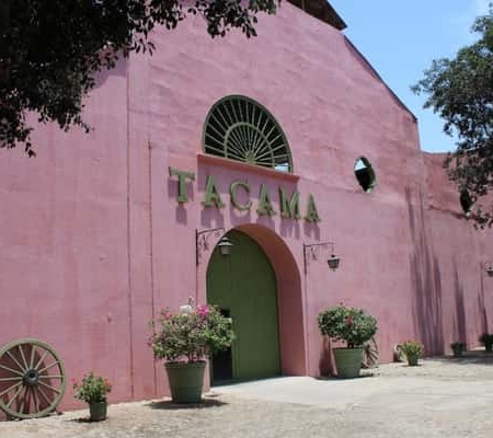 ICA: Pisco-Tour – Tacama, Arrabal & Bodega Lovera ICA: Pisco-Tour – Tacama, Arrabal & Bodega Lovera