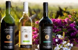 Ica: Pisco Route – Tacama, Arrabal & Bodega Lovera