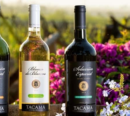 Ica: Pisco Route – Tacama, Arrabal & Bodega Lovera Ica: Pisco Route – Tacama, Arrabal & Bodega Lovera