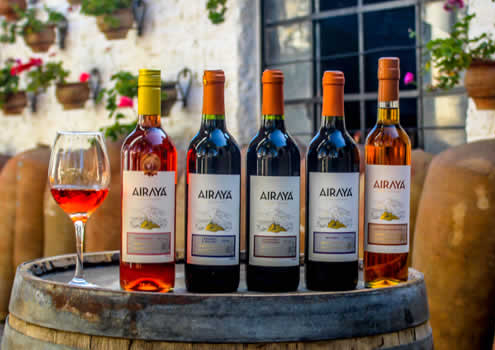 Bodega Santa María – Tradición y sabor en Lunahuaná