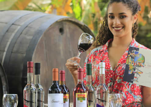 Bodega Viña Los Reyes – Tradición de vino y pisco desde 1896 en el corazón de Lunahuaná