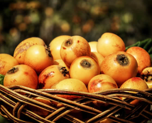 Festival del Níspero de Lunahuaná – Homenaje a una fruta dorada