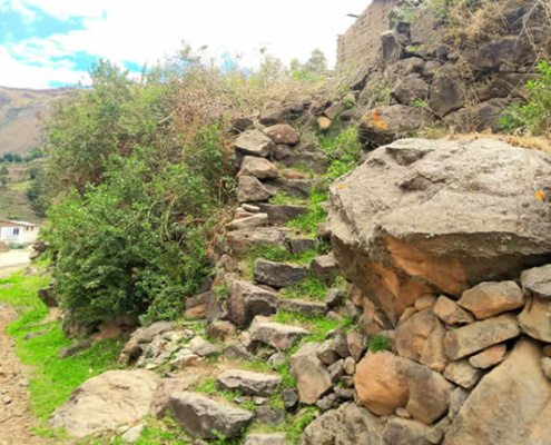 Fossile Spuren südamerikanischer Kameliden in Andamarca – Spuren aus der Tiefenzeit über den Andenen