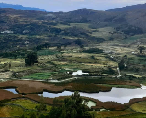 Laguna de Qoricancha (Occeccocha) – Goldene Lagune, graue Spiegel & Zugvögel bei Andamarca
