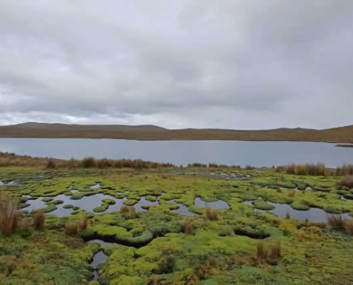 Laguna de Tuctubamba – Laguna altoandina entre la Cordillera Blanca y las Pampas Laguna de Tuctubamba – Laguna altoandina entre la Cordillera Blanca y las Pampas
