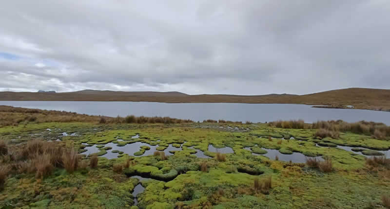 Laguna de Tuctubamba – Laguna altoandina entre la Cordillera Blanca y las Pampas