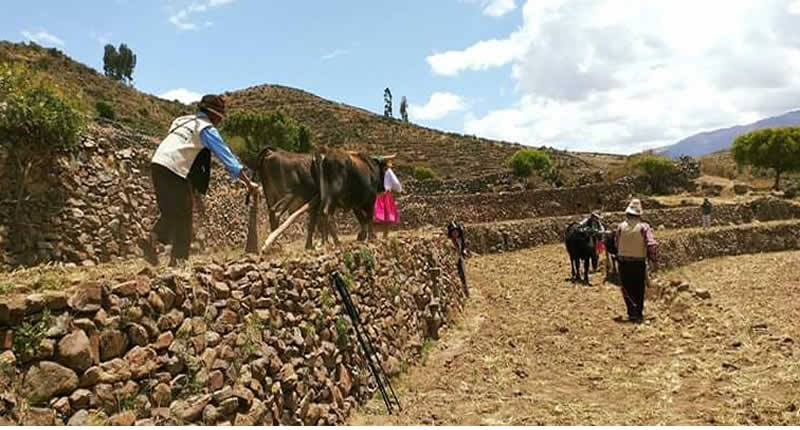 Pata Tarpuy Raymi – Fest der Aussaat in den Andenerías von Andamarca
