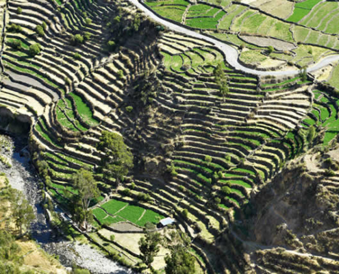 System der Andenerías von Andamarca – Meisterwerk der Wari im Sondondo‑Tal System der Andenerías von Andamarca – Meisterwerk der Wari im Sondondo‑Tal