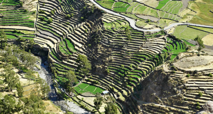 System der Andenerías von Andamarca – Meisterwerk der Wari im Sondondo‑Tal