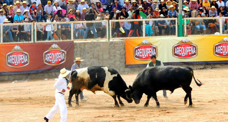 Ein ländliches Spektakel mit jahrhundertealter Geschichte