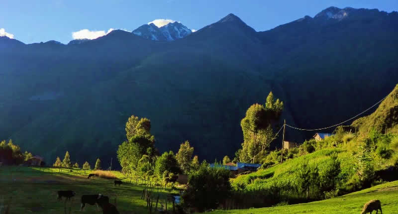 Tradiciones y modo de vida
