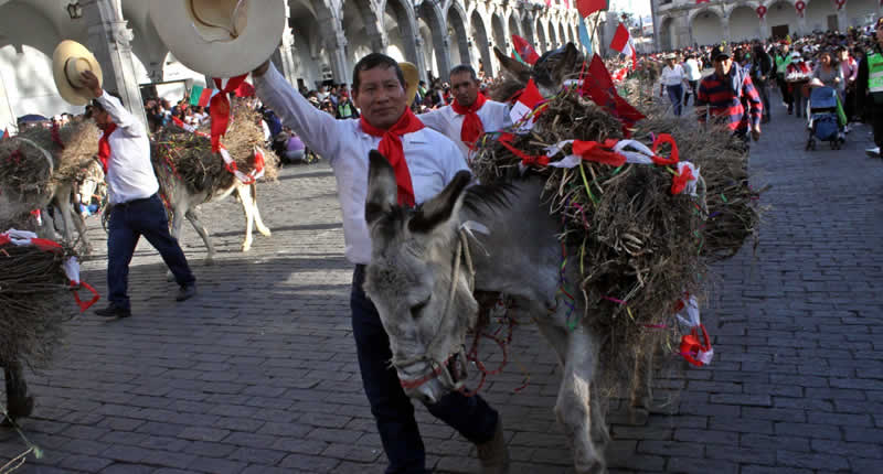 Tradicional Entrada de Ccapo – Ritual ancestral en Cayma