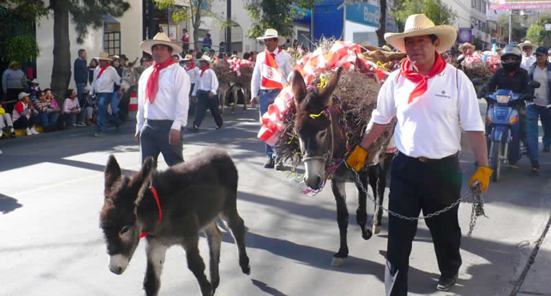 Origen y significado de la Entrada de Ccapo