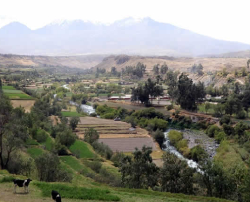 Valle de Chilina – El corazón verde de Arequipa Valle de Chilina – El corazón verde de Arequipa