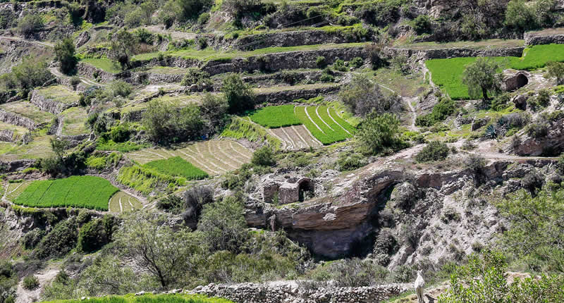 Andenería Agrícola